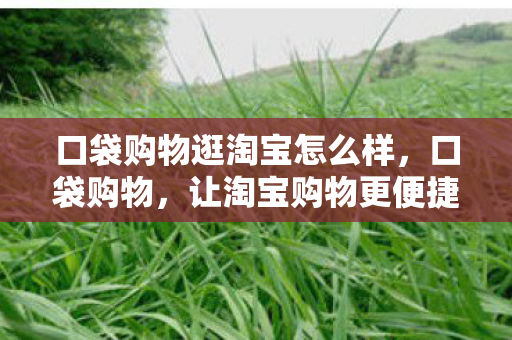 口袋购物逛淘宝怎么样图片