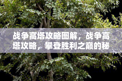 攀登胜利之巅的秘诀图片