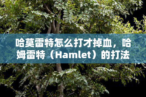 哈莫雷特怎么打才掉血图片