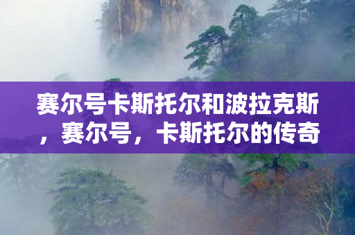 赛尔号卡斯托尔和波拉克斯图片