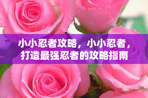 打造最强忍者的攻略指南图片