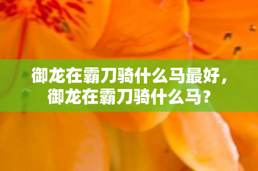 御龙在霸刀骑什么马最好图片