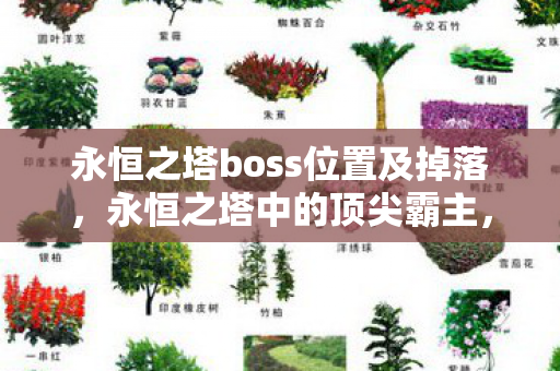 永恒之塔boss位置及掉落，永恒之塔中的顶尖霸主，深度解析游戏boss的独特魅力与挑战策略