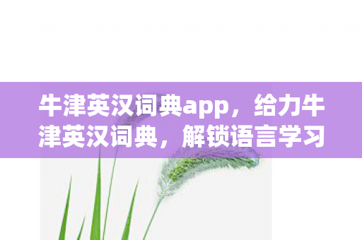 解锁语言学习的秘密武器图片