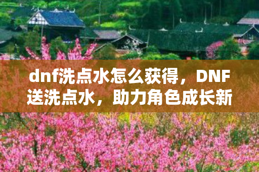 dnf洗点水怎么获得图片