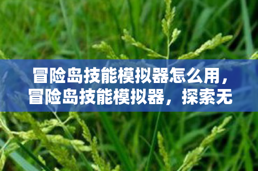 冒险岛技能模拟器怎么用图片