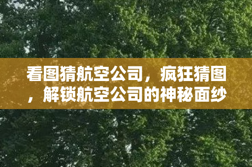 解锁航空公司的神秘面纱图片