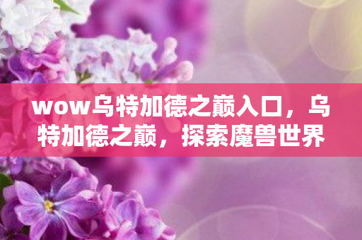 wow乌特加德之巅入口图片