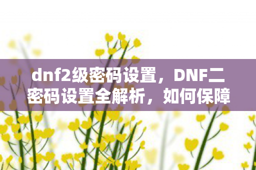 DNF二密码设置全解析图片