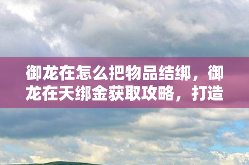 御龙在怎么把物品结绑图片
