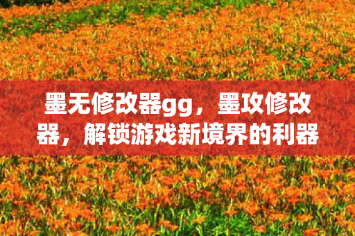 解锁游戏新境界的利器图片