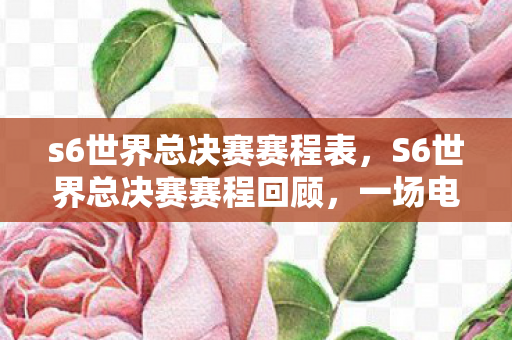 S6世界总决赛赛程回顾图片
