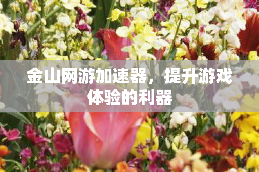 提升游戏体验的利器图片