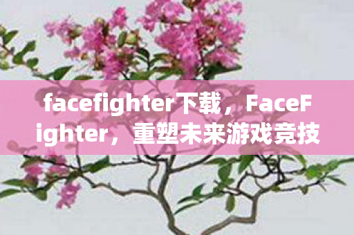 facefighter下载图片