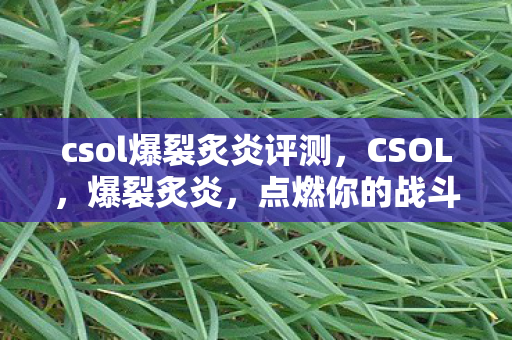 csol爆裂炙炎评测图片