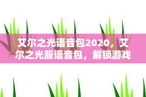 艾尔之光语音包2020，艾尔之光服语音包，解锁游戏新体验