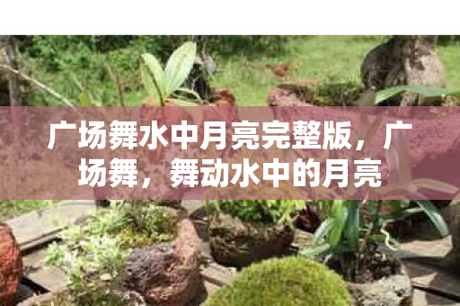 广场舞水中月亮完整版，广场舞，舞动水中的月亮