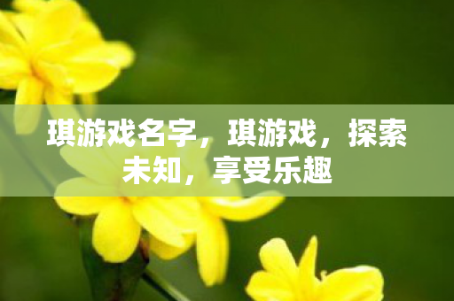 琪游戏名字，琪游戏，探索未知，享受乐趣