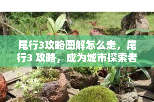 成为城市探索者的必备指南图片