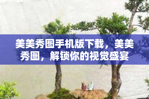 美美秀图手机版下载，美美秀图，解锁你的视觉盛宴