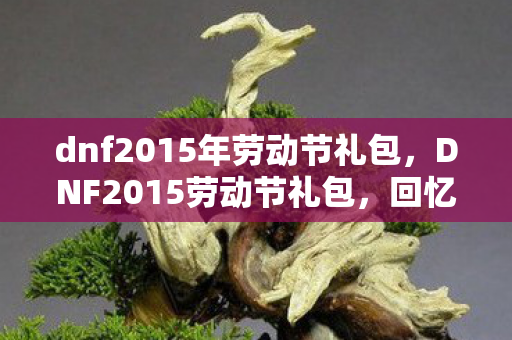 dnf2015年劳动节礼包，DNF2015劳动节礼包，回忆与变迁的交织