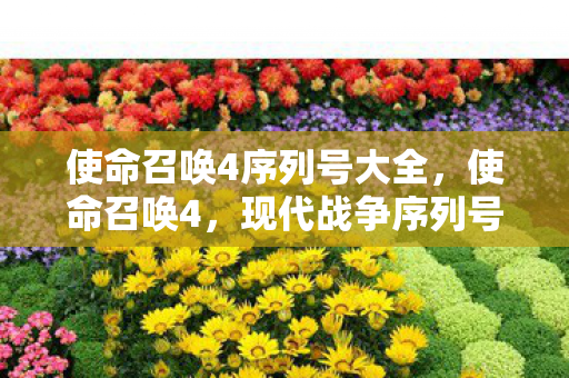 现代战争序列号的重要性与获取方式图片