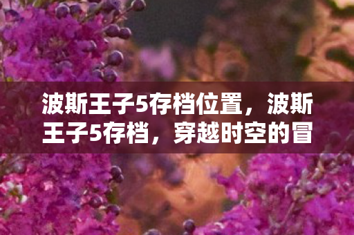 波斯王子5存档位置，波斯王子5存档，穿越时空的冒险之旅