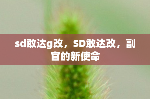 sd敢达g改，SD敢达改，副官的新使命