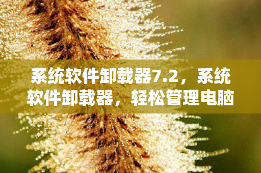 系统软件卸载器7.2，系统软件卸载器，轻松管理电脑中的软件