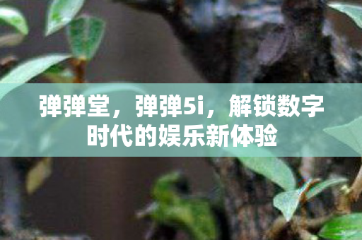 解锁数字时代的娱乐新体验图片