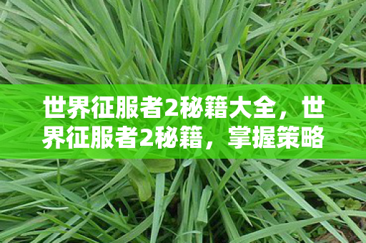 世界征服者2秘籍大全图片