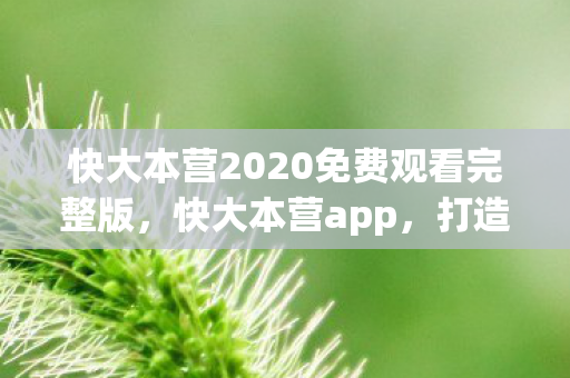 快大本营2020免费观看完整版图片