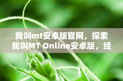 探索我叫MT Online安卓版图片