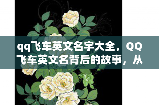 从QQ Speed到QQ Fly图片