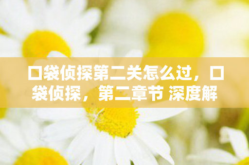 口袋侦探第二关怎么过，口袋侦探，第二章节 深度解析与推理指南