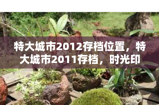 特大城市2012存档位置图片