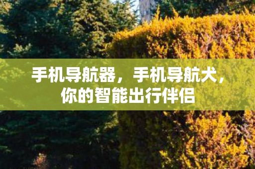 你的智能出行伴侣图片