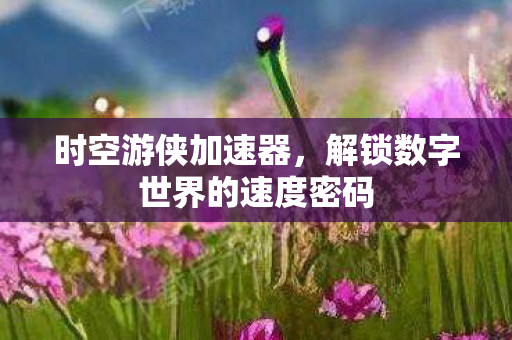解锁数字世界的速度密码图片