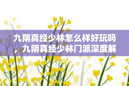 九阴真经少林怎么样好玩吗图片