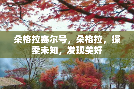 朵格拉赛尔号图片