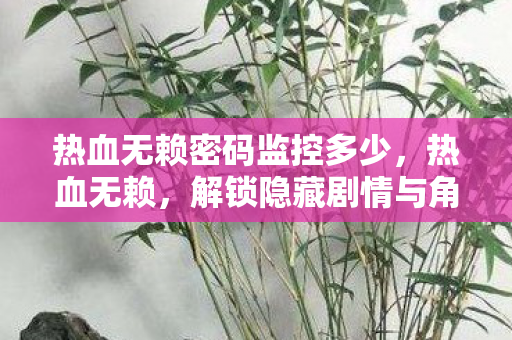 热血无赖密码监控多少图片