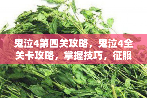 鬼泣4第四关攻略图片