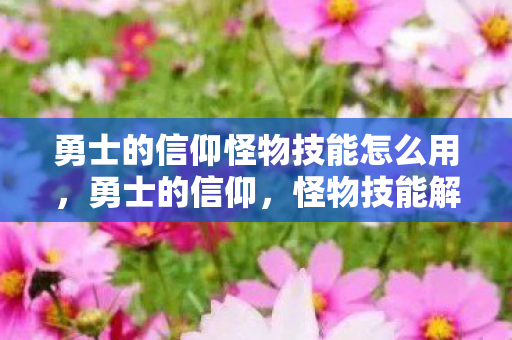 勇士的信仰怪物技能怎么用图片