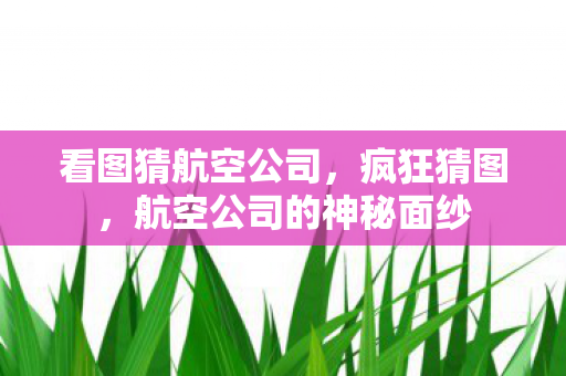 航空公司的神秘面纱图片