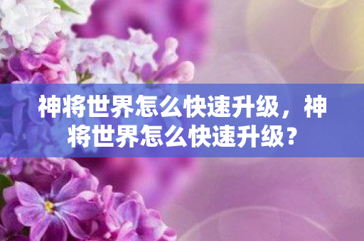 神将世界怎么快速升级图片