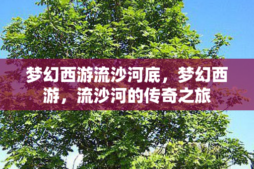 梦幻西游流沙河底图片