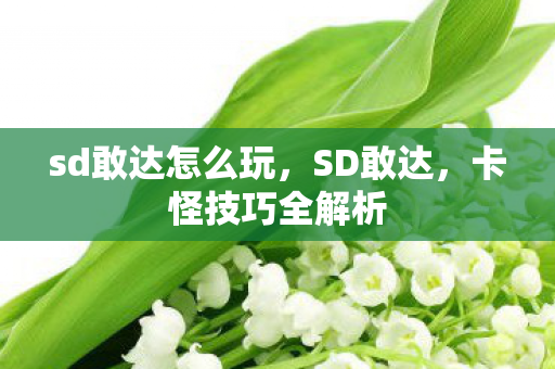 sd敢达怎么玩图片