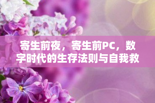 数字时代的生存法则与自我救赎图片