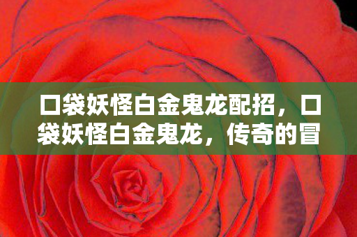 口袋妖怪白金鬼龙配招图片