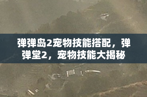 弹弹岛2宠物技能搭配图片